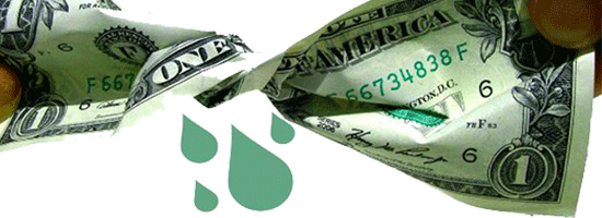 dinero organismos reguladores