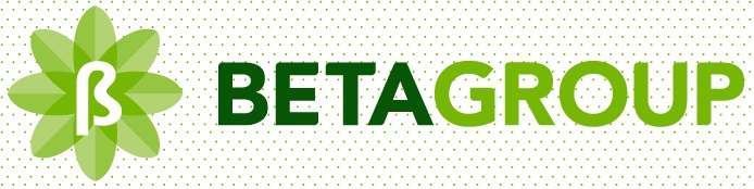 Beta Group Beta Group
